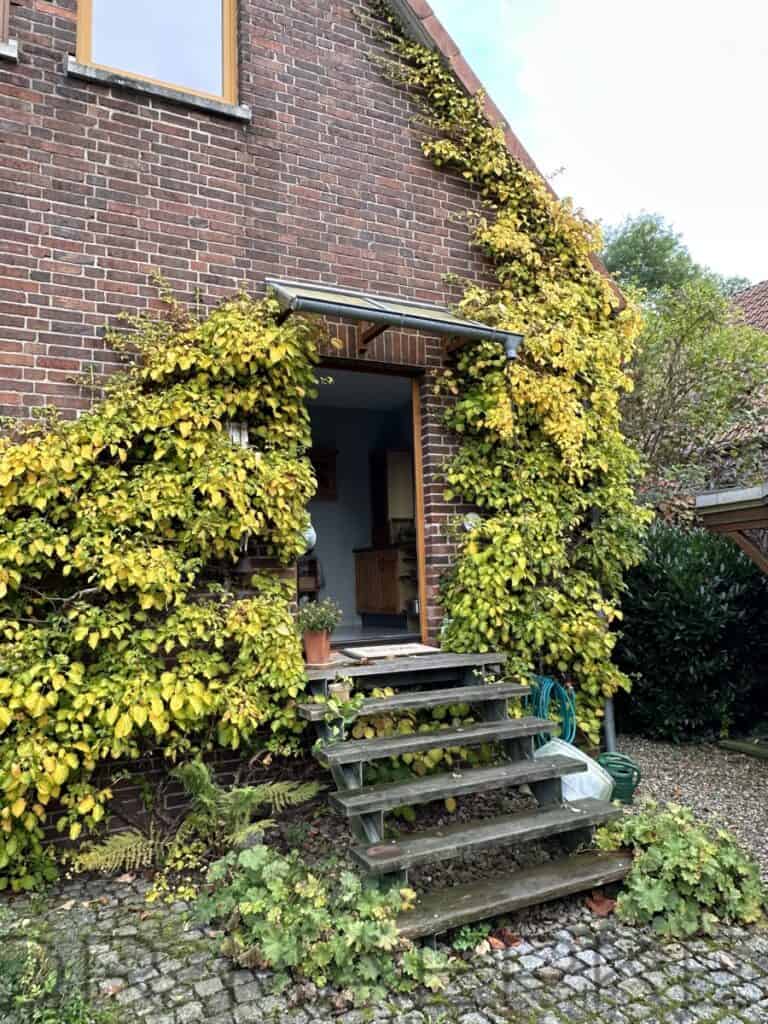 fd2b2c12-1965-435e-86f4-691a5b706231