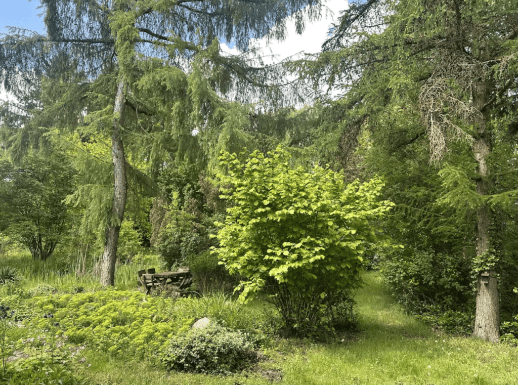 Screenshot 2026-06-23 132823