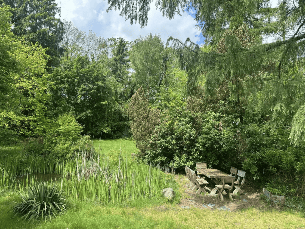 Screenshot 2026-06-23 134621