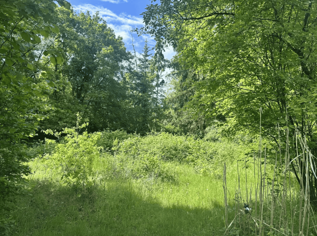Screenshot 2026-06-23 135258