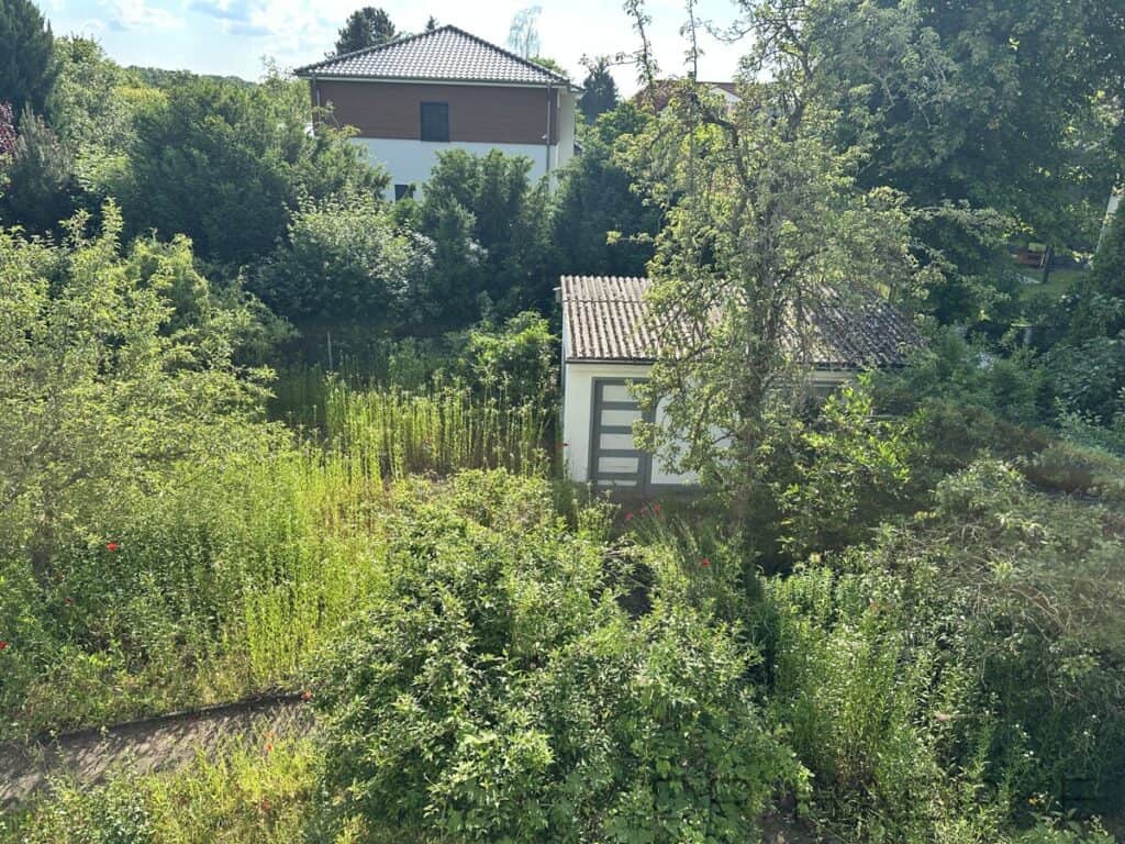 2- Gartenblick