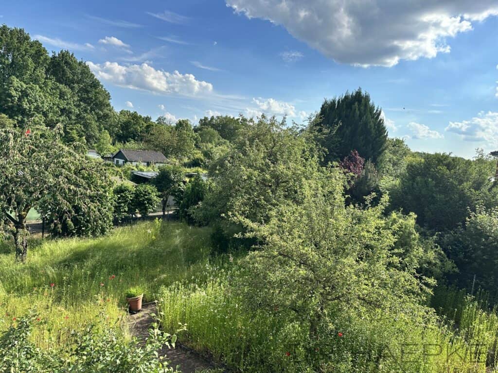 3- Gartenblick vom OG