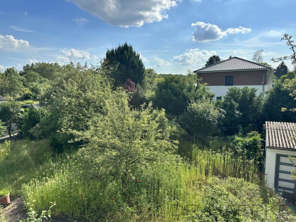 Ausblick aus dem Obergeschoss Richtung seitlicher Garten