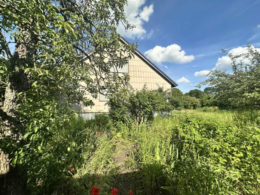 Garten mit Obstbäumen